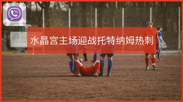 水晶宫主场迎战托特纳姆热刺